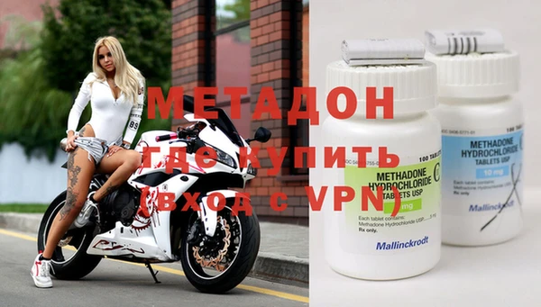 прущие грибы Коряжма