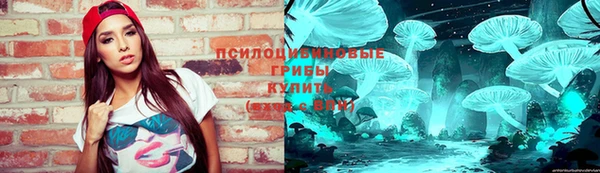 прущая мука Алзамай