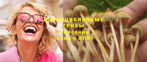 прущая мука Алзамай