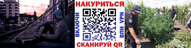 Бошки марихуана Amnesia  Стерлитамак 